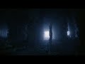 EX HMAS HOBART Underwater Ship Wreck South Australia 4k