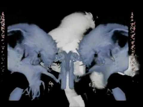 bocca juniors vs moody boys - substance (juvenile version) (boys own)