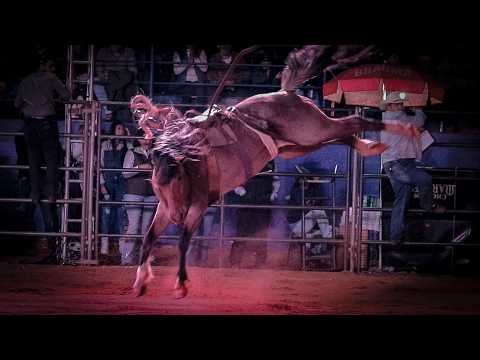 🔴 (FINAL em CUTIANO) Rodeio de GUAPIAÇU-SP 2026