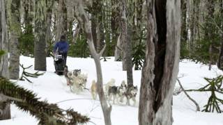 preview picture of video 'Volcan Villarrica Challenge 2014'