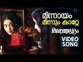 Minnayam Minnum Katte Video Song Ananthabhadram Kavya Madhavan Prithviraj Manoj K Jayan