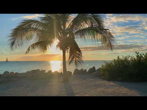 Biby Michael - Siboney