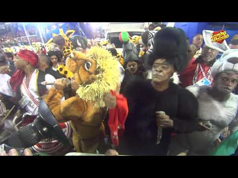 Carnaval 2020: Início do Desfile Salgueiro