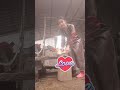 A Girl Slaughters A Duck
