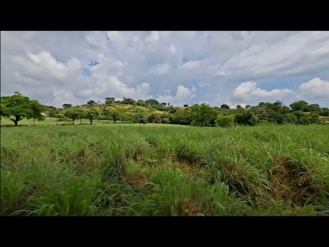 Cuyuapa, San Antonio Del Monte, Sonsonate. Se vende 15 mz. Mas información al 7639 4721.