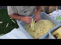 How To Freeze Sweet Corn From A Real Farmer