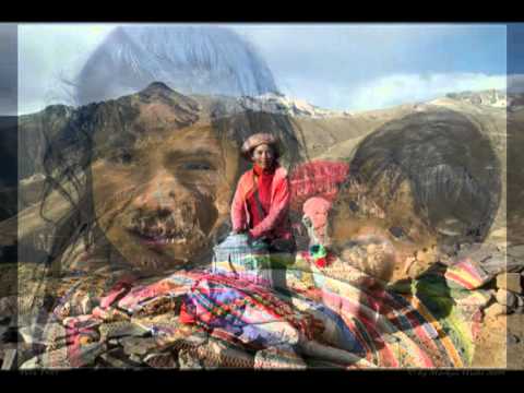 Inkuyo - Huari Vicuña (Wild Vicuña)