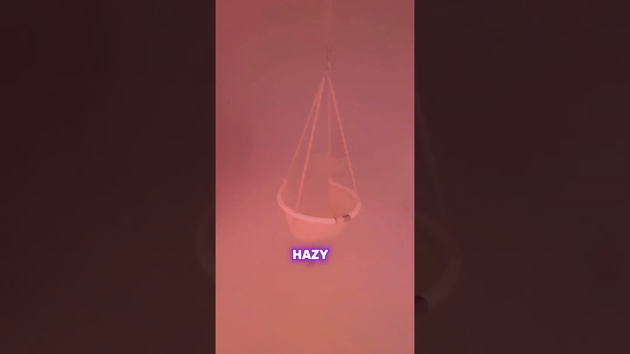 YouTube Short thumbnail