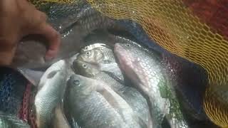 fishing late at night and the ending... love 🤣🤣🤣🤣