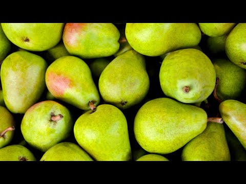 5 INCREDIBLE HEALTH BENEFITS OF PEARS