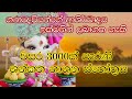 වසර 3000ක් පැරණි ශන්කත නාශන ස්තෝත්‍රය 3000 Y