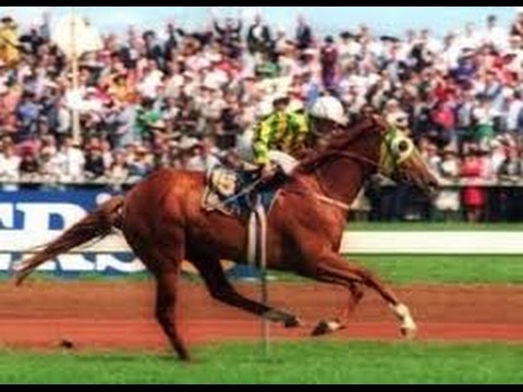 1991 VRC Melbourne Cup _ J B Cummings Post Race