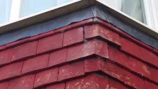 Wasp Nest Removal, Sutton, Surrey, Sun Pest Control 