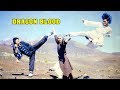 Wu Tang Collection Dragon Blood