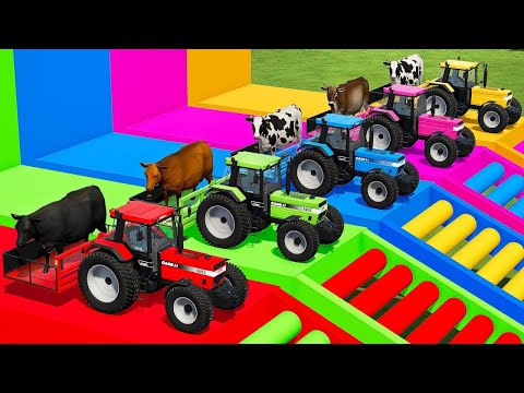 TRANSPORTING COWS WITH COLORED ISEKI TRACTORS & MAN TRUCKS - Farming Simulator 22
