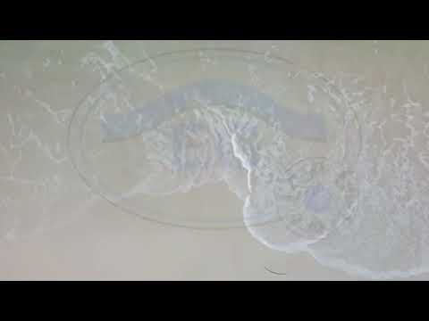 Video de EMMANUEL GUERRERO