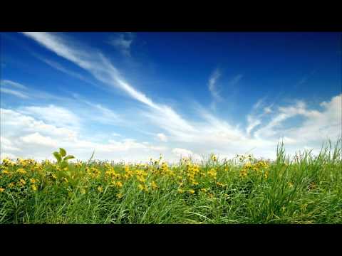 Mike Mikhjian - Again And Again