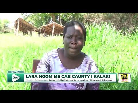 Chilly growing in Tororo Substitutes Cotton Farming/ Farmers Get New Skills