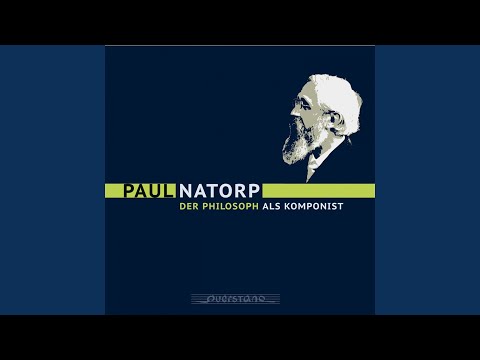 Trio: I. Largo assai - Allegro agitato ma non troppo