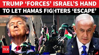 Download lagu SHOCKING! Trump ORDERS Netanyahu To Stand Down, Give Hamas Fighters Safe Exit From Gaza | Report mp3 Download lagu SHOCKING! Trump ORDERS Netanyahu To Stand Down, Give Hamas Fighters Safe Exit From Gaza | Report mp3