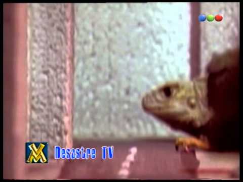 Desastre TV, 28-09 – Videomatch 98