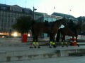 Police Horse Takes A Shit