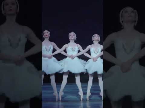 Swan Lake Moments: Dance of the Cygnets