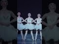 Swan Lake Moments Dance Of The Cygnets