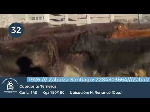 Lote Hembras - Huinca Renancó, Cordoba