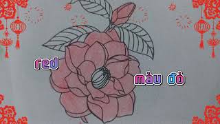 HOA MẪU ĐƠN TIẾNG ANH LÀ GÌ ? HỌC MÀU SẮC QUA TÔ MÀU
