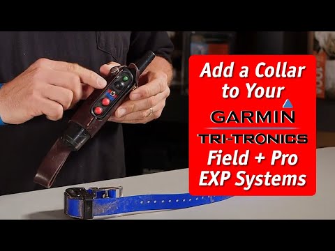 How to Add a Collar to Tri-Tronics Field and Pro EXP Systems