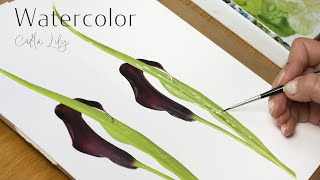 How to paint a Calla Lily | Watercolor painting tutorial