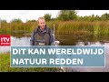 Uitvinding kan natuur herstellen: 'Ook het koraal wordt geholpen' | RTV Drenthe