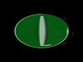 2 0 I KILLED LG LOGO 1995