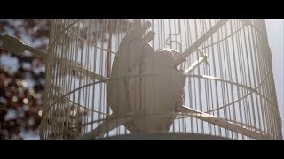 GIMMIE - How to be a Heartbreaker (Official Music Video)