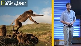 The Fascinating Lives of Bleeding Heart Monkeys (Part 3) | Nat Geo Live