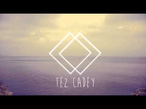 Tez Cadey - Coastal Cat