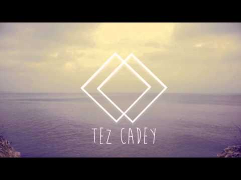 Tez Cadey - Coastal Cat