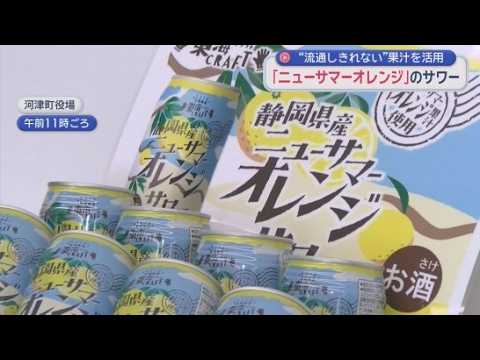YouTube Video 河津町長「すごい爽やか」　伊豆の初夏の味覚ニューサマーオレンジを使ったお酒が登場　