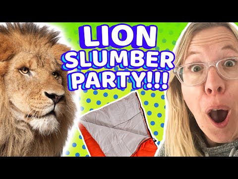 Witness21  2021 05 14