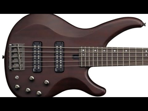 Yamaha TRBX 505 TOTAL REVIEW