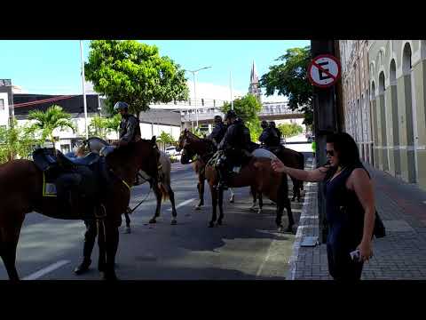 #PMCE - #CPRAIO - #CAVALARIA -  ABORDAGENS PERSEGUIÇÕES FISCALIZAÇÕES PADRÃO #FORTALEZA CEARÁ BRASIL