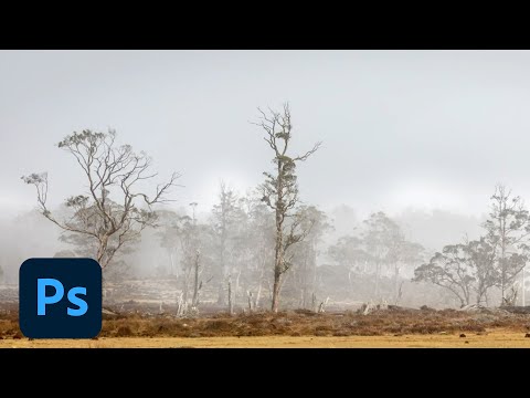 Видео Adobe Photoshop