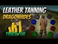 Tanning Dragonhides 1950K GP Hr