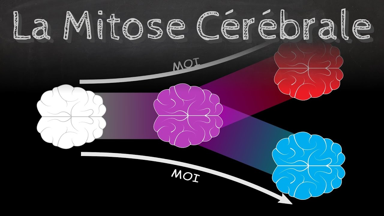 La mitose cérébrale, une expérience de pensée troublante (avec Monsieur Phi) - Passe-science #26
