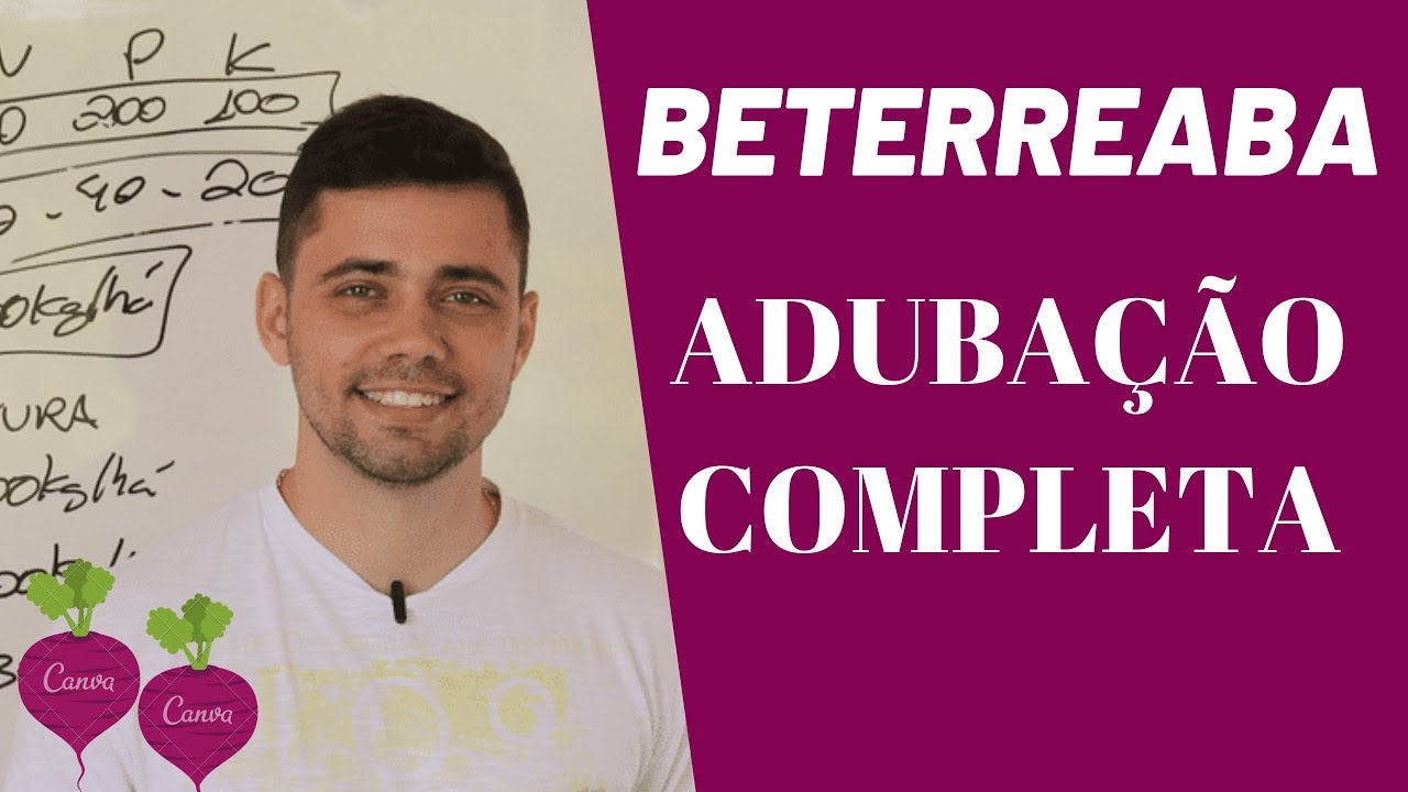 BETERRABA - ADUBAÇÃO COMPLETA | Daniel Scotá