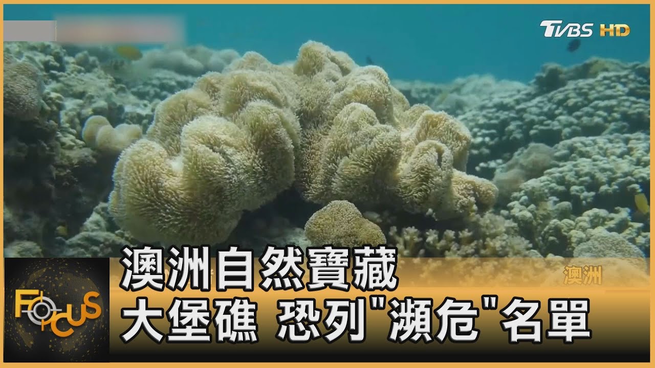澳洲自然寶藏 大堡礁 恐列「瀕危」名單