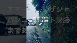 日本はブラジルには勝てると思う　#サッカー日本代表