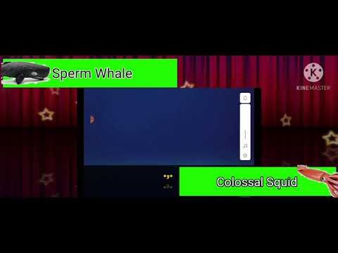 Sperm Whale Vs Colossal Squid With Healthbars