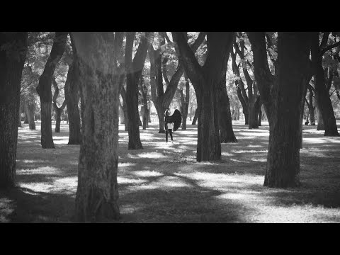 Viva Elastico - A Veces Casi (video oficial)